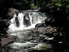 Brook's Falls in the Summer